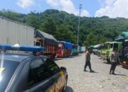 Pengiriman Sapi dari Lombok ke Jawa Lancar, Polisi Pastikan Antrean di Pelabuhan Lembar Kini Nihil