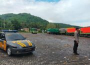 Distribusi Ternak Sapi di Pelabuhan Lembar Berjalan Lancar