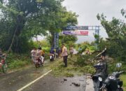 Personel Polsek Moyo Hulu Sigap Lakukan Pengaturan Lalu Lintas Pohon Tumbang yang Tutupi Jalan