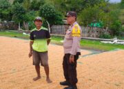 Bhabinkamtibmas Polsek Kilo Pantau Penjemuran Jagung Warga, Dukung Ketahanan Pangan Nasional