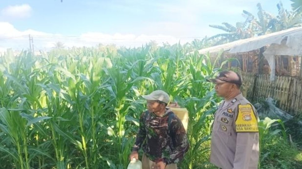 Polsek Gerung Kawal Program Ketahanan Pangan di Banyu Urip