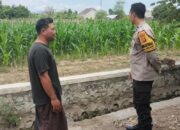 Lahan Kosong Jadi Kebun Jagung, Cara Bhabinkamtibmas Polsek Labuapi Wujudkan Ketahanan Pangan Nasional