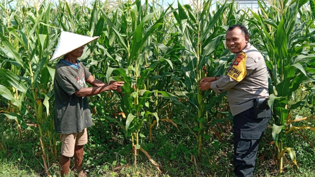 Polri Dukung Ketahanan Pangan Melalui Pendampingan Petani