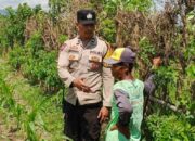 Cara Polsek Labuapi Perkuat Ketahanan Pangan Desa