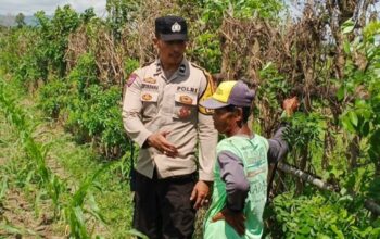 Cara Polsek Labuapi Perkuat Ketahanan Pangan Desa