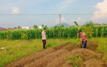 Sinergi Polsek Labuapi dan Petani Perkuat Stok Pangan