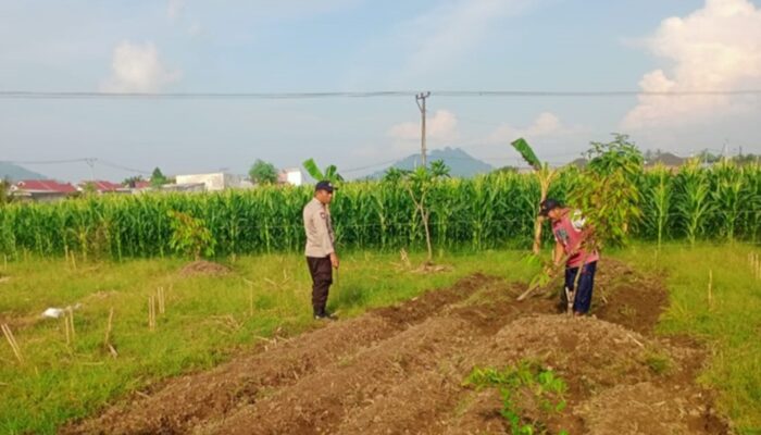 Polisi Dampingi Petani Labuapi Garap Lahan Pangan