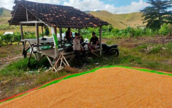 Bhabinkamtibmas Desa Jala Dorong Petani Tingkatkan Hasil Panen