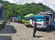 Antrian Truk Sapi di Pelabuhan Lembar Akhirnya Nihil, Distribusi Hewan Ternak ke Pulau Jawa Makin Lancar!