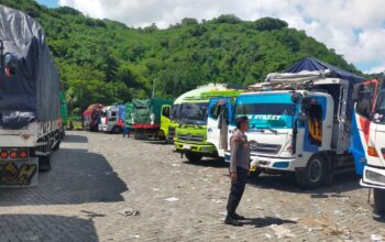 Antrian Truk Sapi di Pelabuhan Lembar Akhirnya Nihil, Distribusi Hewan Ternak ke Pulau Jawa Makin Lancar!
