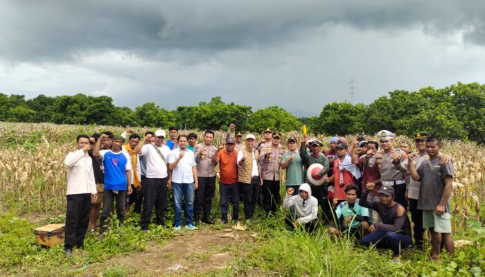 Kapolres Lombok Utara Hadiri Panen Raya Jagung Serentak, Dukung Swasembada Pangan Nasional
