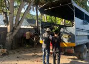 Satsamapta Polres Bima Kabupaten Bantu Mahasiswa IMM Antar Bibit Pohon