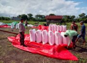Wujud Kepedulian Polri, BKTM Doropeti Pantau Hasil Panen Jagung Masyarakat