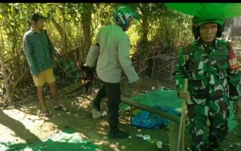 Grebek Arena Judi Sabung Ayam, Bhabinkamtibmas Polsubsektor Palibelo Bakar Alat Peraga Judi