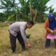 Kedaulatan Pangan Nasional, Polsek Labuapi Edukasi Petani