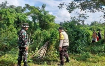 Ketahanan Pangan Nasional Dimulai dari Lahan Tidur Desa