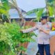 Ketahanan Pangan Polsek Labuapi Ajak Warga Manfaatkan Lahan