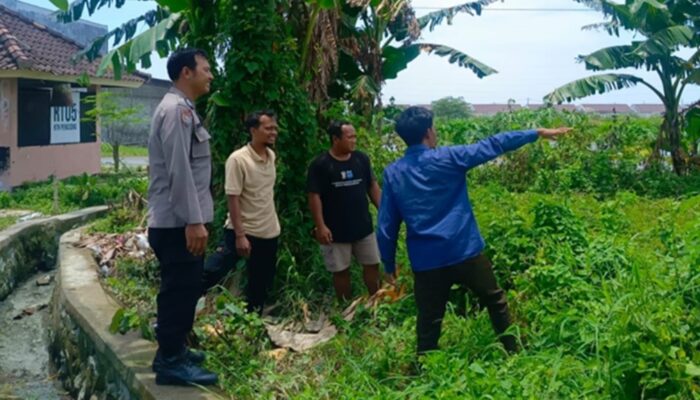 Lahan Sempit Jadi Aset, Cara Bhabinkamtibmas Desa Perampuan Bangkitkan Kemandirian Pangan Warga