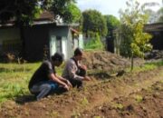 Bhabinkamtibmas Desa Senteluk Edukasi Lahan Produktif