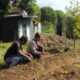 Bhabinkamtibmas Desa Senteluk Edukasi Lahan Produktif