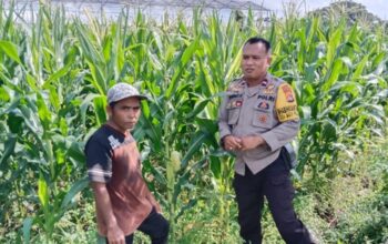 Polsek Labuapi Kawal Ketahanan Pangan di Desa Bagik Polak