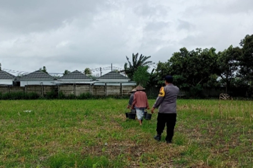 Ketahanan Pangan di Karang Bongkot Memanfaatkan Pekarangan