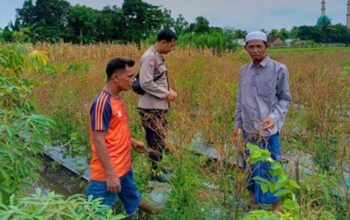 Bhabinkamtibmas Lombok Barat Gerakkan Warga Manfaatkan Pekarangan