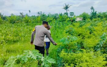 Sinergi Polsek Labuapi dan Petani Jaga Ketahanan Pangan