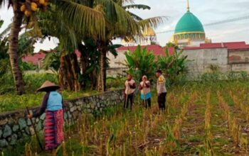 Sinergi Polsek Labuapi dan Warga Perkuat Kemandirian Pangan