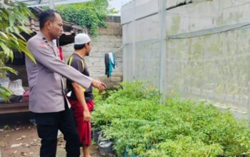 Ubah Lahan Kosong Jadi Sumber Gizi, Cara Bhabinkamtibmas Bajur Perkuat Ketahanan Pangan