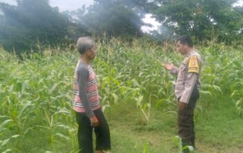 Sinergi Polisi dan Petani Jaga Ketahanan Pangan di Labuapi