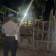 Antisipasi Pencurian Ternak, Polsek Sekotong Patroli Dini Hari
