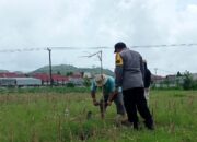 Sinergi Polsek Labuapi Perkuat Ketahanan Pangan Desa