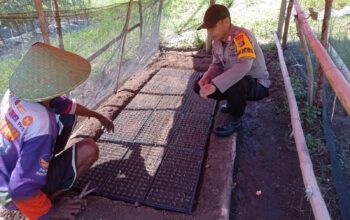 BHABINKAMTIBMAS DESA DOREBARA SAMBANGI PETANI SAYUR, DORONG KETAHANAN PANGAN DAN PENINGKATAN EKONOMI KELUARGA