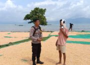BHABINKAMTIBMAS DESA HU’U PANTAU HASIL PANEN JAGUNG WARGA, DORONG PENYALURAN KE BULOG UNTUK DUKUNG KETAHANAN PANGAN NASIONAL