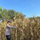 Polri Dukung Astacita, Polsek Merakurak Polres Tuban Turun Cek Tanaman Jagung Warga di Desa Tuwiri Wetan