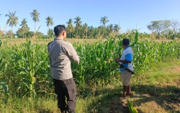 Bhabinkamtibmas Desa Lekong Ajak Warga Optimalkan Lahan dengan Tanaman Hortikultura