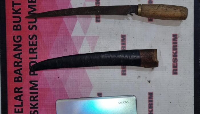 Kabur ke Surabaya, Seorang DPO Pelaku Curas Berhasil Dibekuk Tim Puma Polres Sumbawa