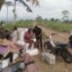 BHABINKAMTIBMAS DESA SANEO LAKSANAKAN SAMBANG PETANI JAGUNG, DUKUNG PROGRAM KETAHANAN PANGAN NASIONAL
