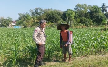 Polsek Batulayar Ajak Warga Sandik Manfaatkan Lahan untuk Swasembada Pangan