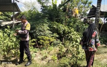 Bhabinkamtibmas Desa Kidang Dorong Warga Manfaatkan Pekarangan dan Jaga Kamtibmas