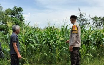 Polsek Labuapi Dorong Warga Manfaatkan Lahan Kosong