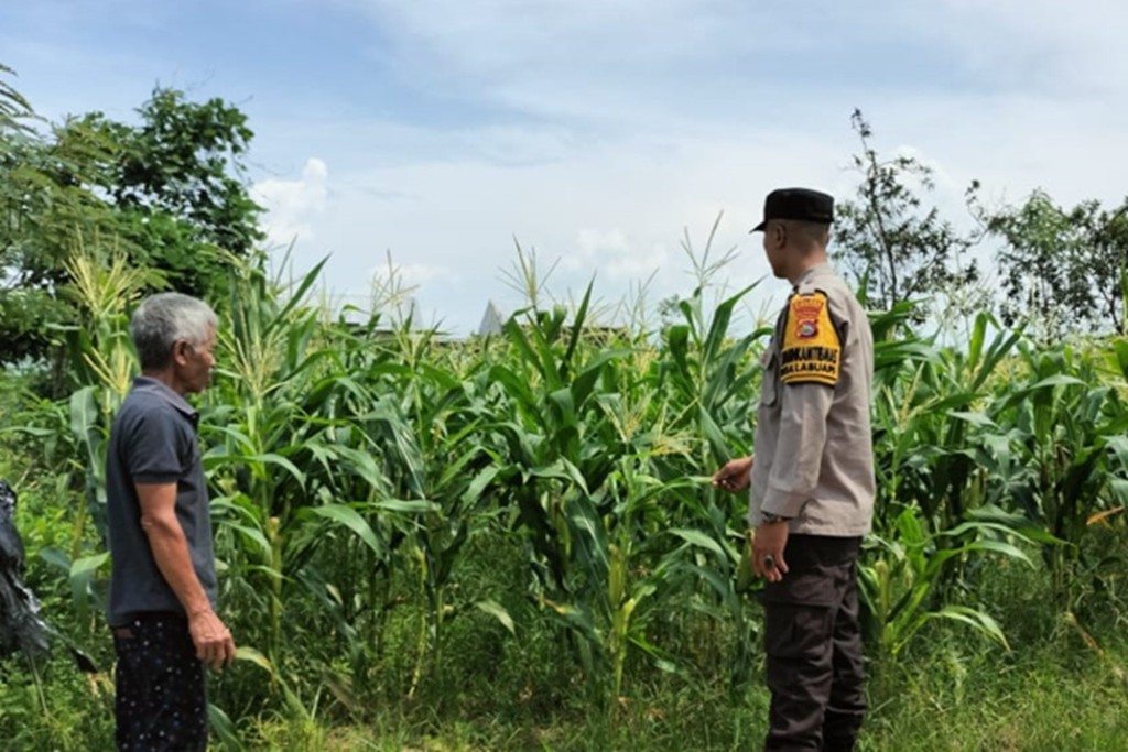 Polsek Labuapi Sukseskan Program Ketahanan Pangan Nasional