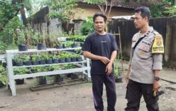 Sinergi Polsek Labuapi dan Warga Bengkel Sulap Pekarangan Jadi Lahan Produktif