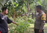 Sinergi Polisi dan Warga Senggigi Sulap Pekarangan Jadi Kebun