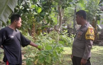 Sinergi Polisi dan Warga Senggigi Sulap Pekarangan Jadi Kebun
