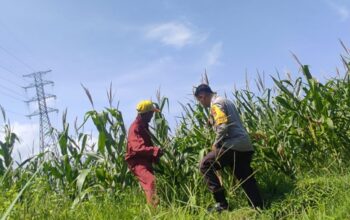 Sinergi Polsek Labuapi Perkuat Ketahanan Pangan Masyarakat