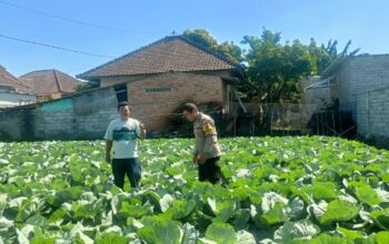  Bhabinkamtibmas Desa Masbagik Utara Sambangi Petani Guna Dukung Ketahanan Pangan
