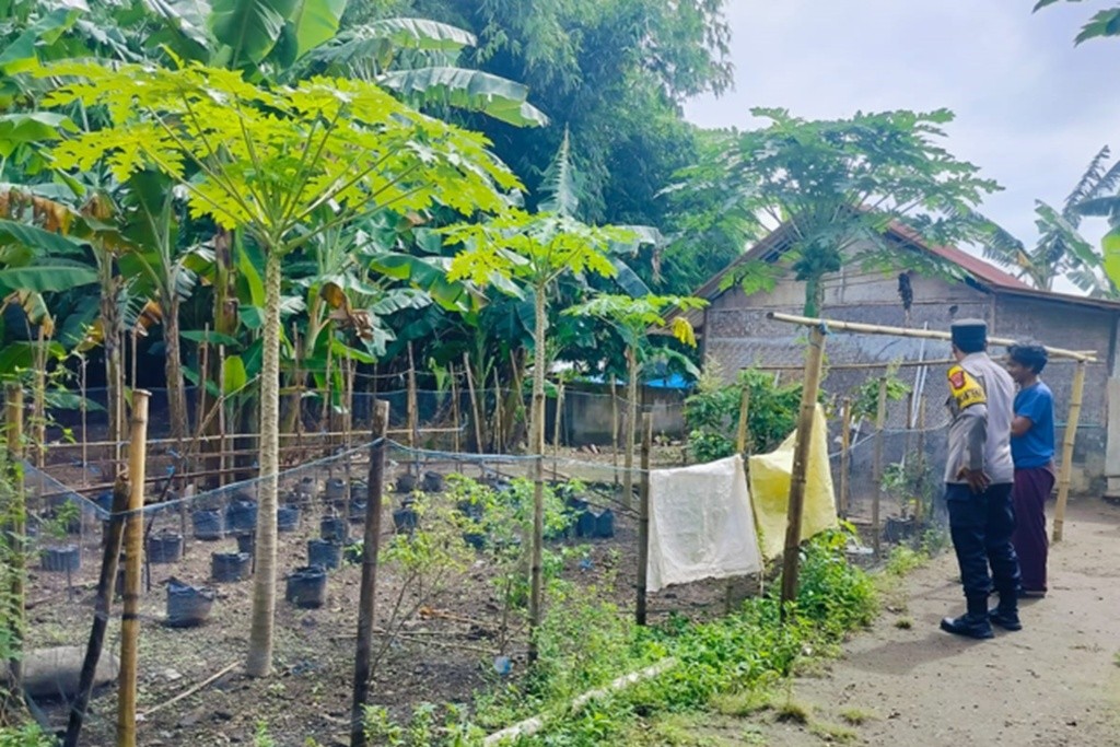 Cara Polsek Labuapi Lombok Barat Jaga Ketahanan Pangan Warga