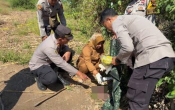 Gegerkan Warga, Sesosok Bayi Ditemukan Meninggal Dunia di Lahan Jagung Badas